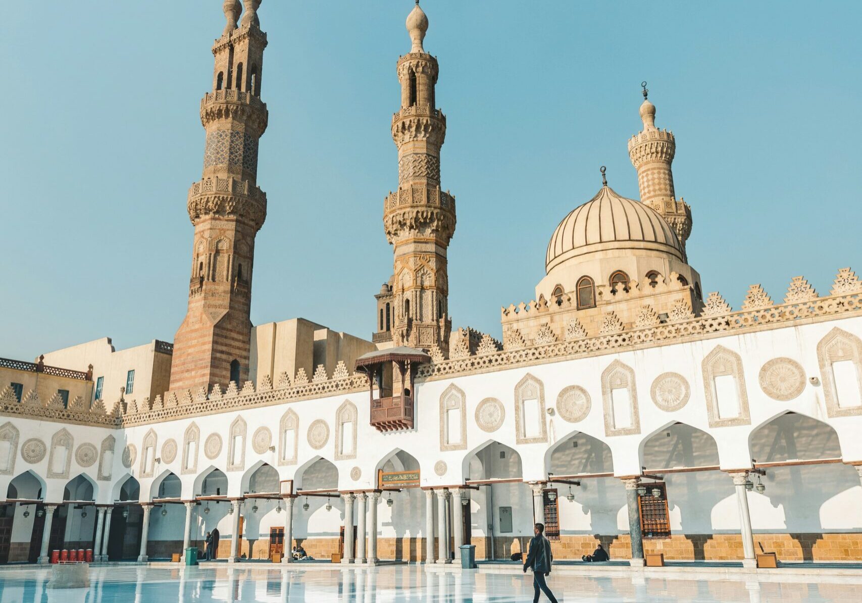 seif amr vjv3xvedgua unsplash